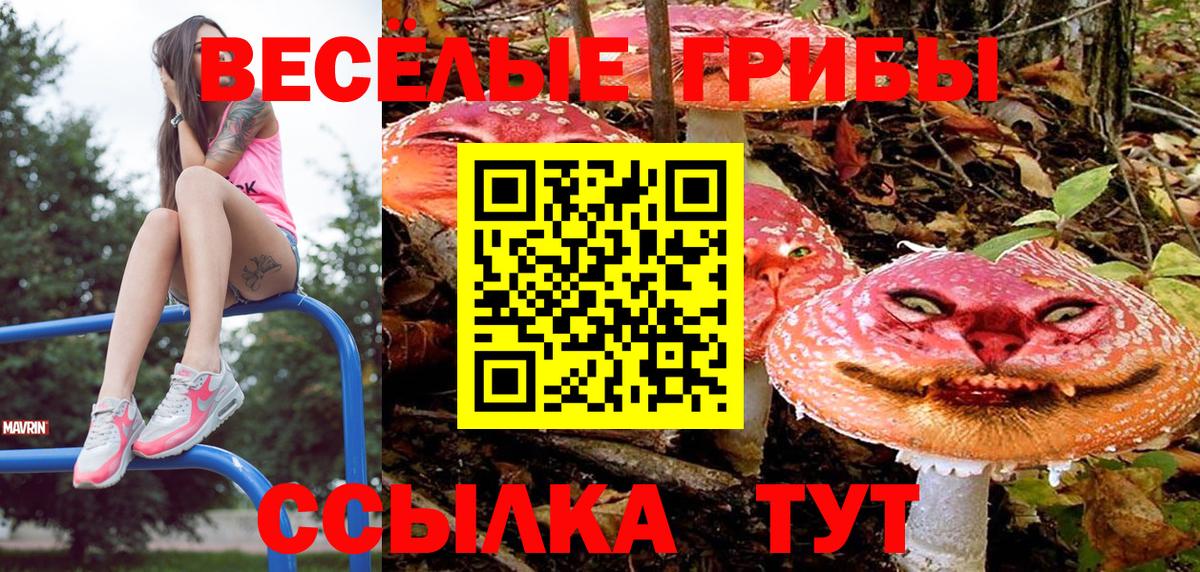 Псилоцибиновые грибы мицелий  Вход с VPN  Когалым 