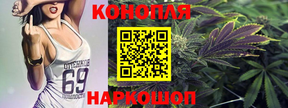 Каннабис индика Когалым